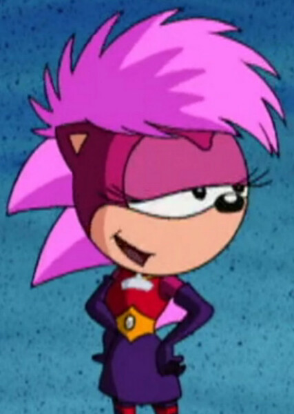 Sonia the Hedgehog photo