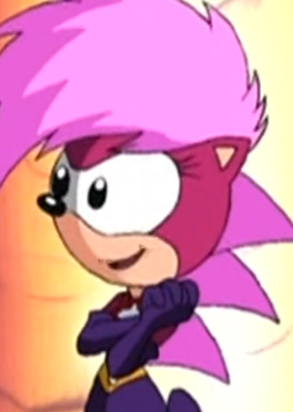 Sonia the Hedgehog photo