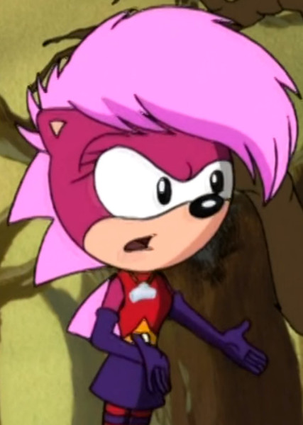 Sonia the Hedgehog photo