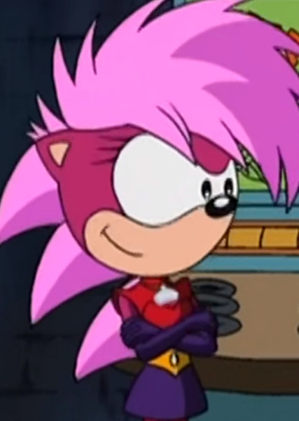 Sonia the Hedgehog photo