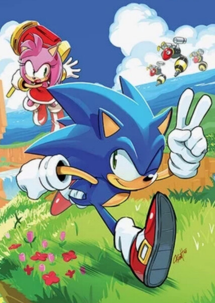 Sonic and Amy photo