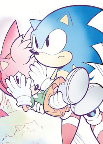 Sonic and Amy photo