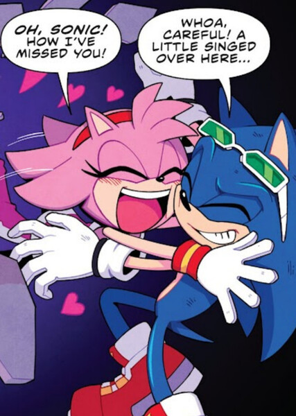 Sonic and Amy photo