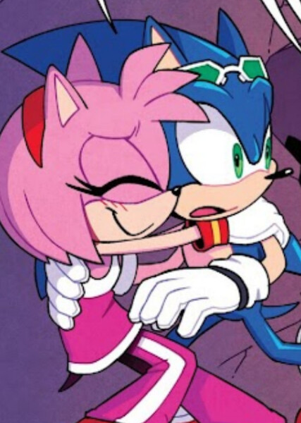 Sonic and Amy photo