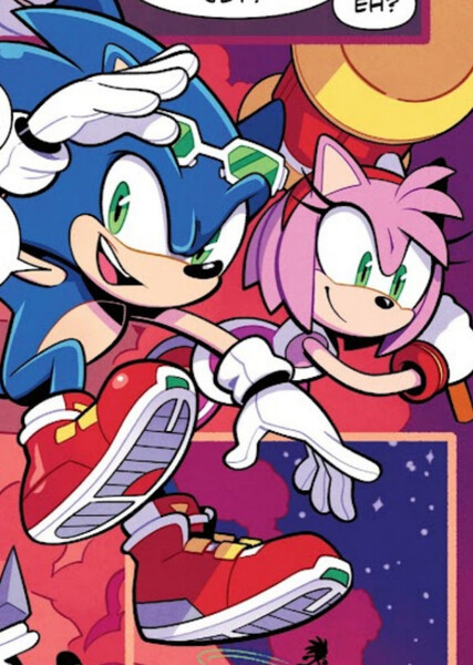Sonic and Amy photo
