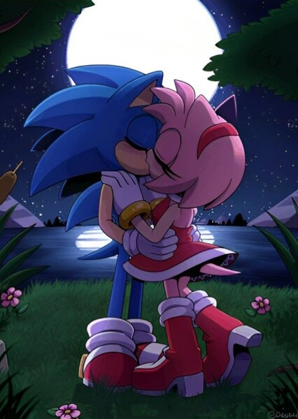Sonic and Amy photo