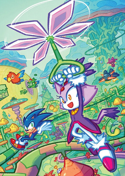 Sonic and Blaze photo