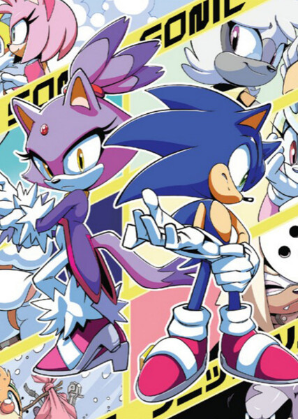 Sonic and Blaze photo