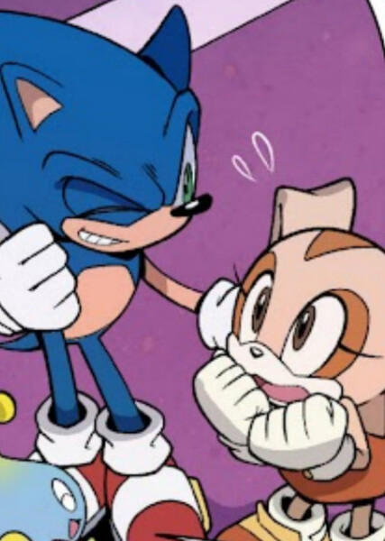 Sonic and Cream photo