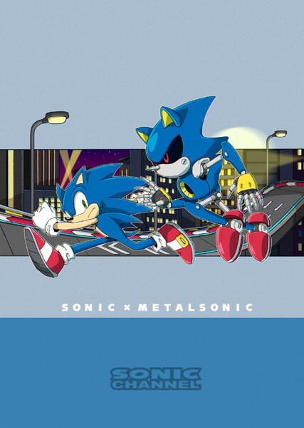 Sonic and Metal Sonic photo
