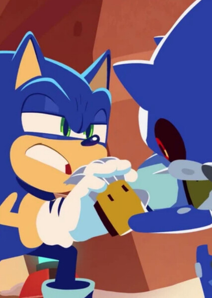 Sonic and Metal Sonic photo