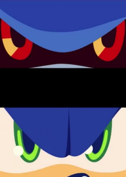Sonic and Metal Sonic photo