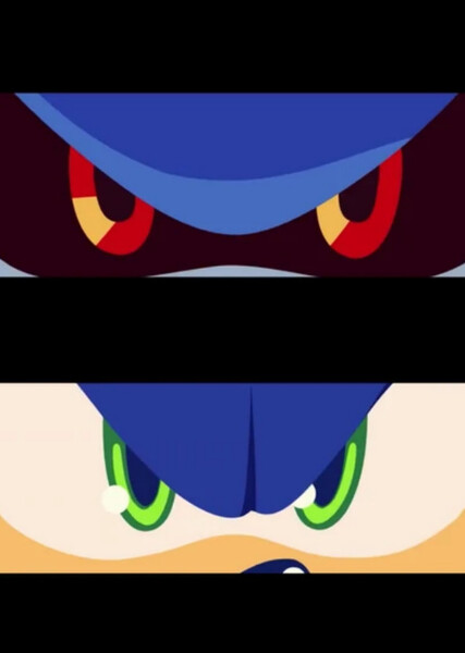 Sonic and Metal Sonic photo