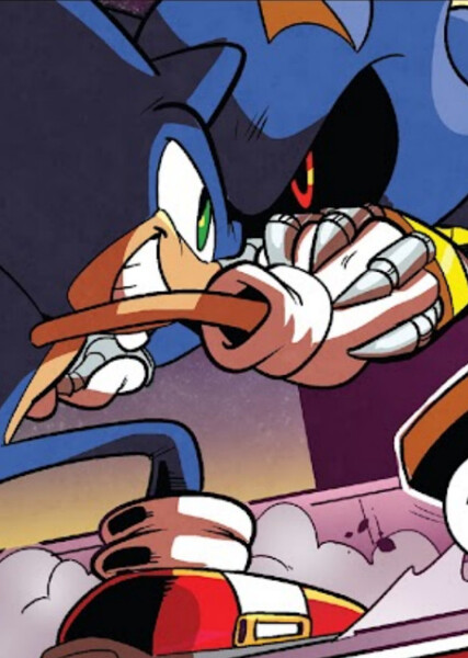 Sonic and Metal Sonic photo
