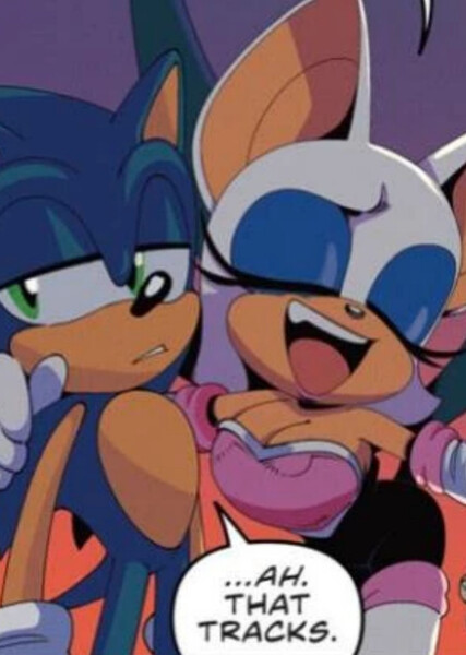 Sonic and Rouge photo