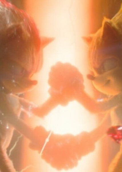 Sonic and Shadow photo