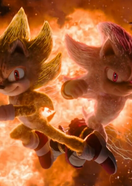 Sonic and Shadow photo