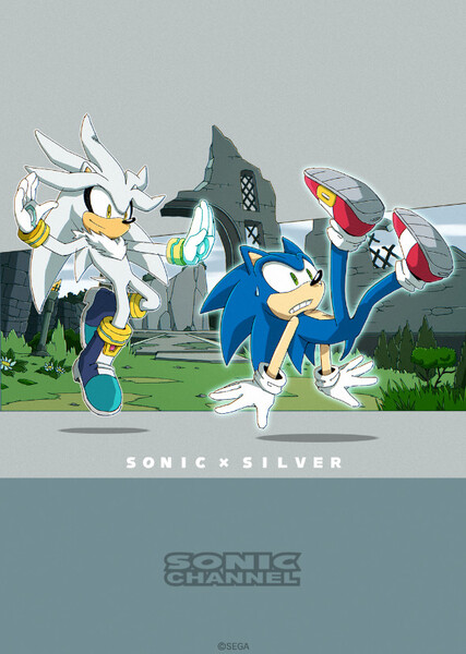 Sonic and Silver photo