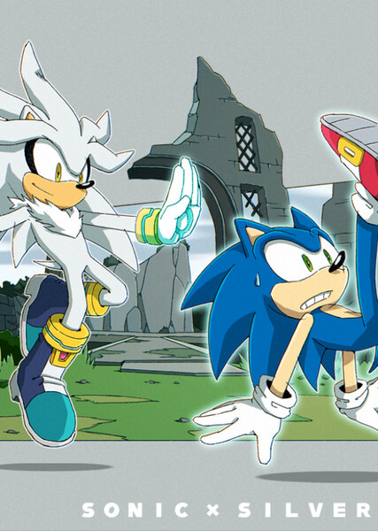Sonic and Silver photo