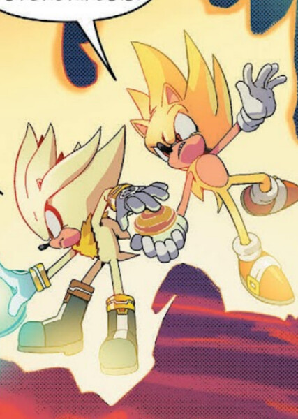 Sonic and Silver photo