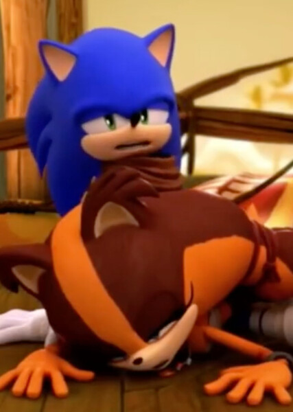 Sonic and Sticks photo