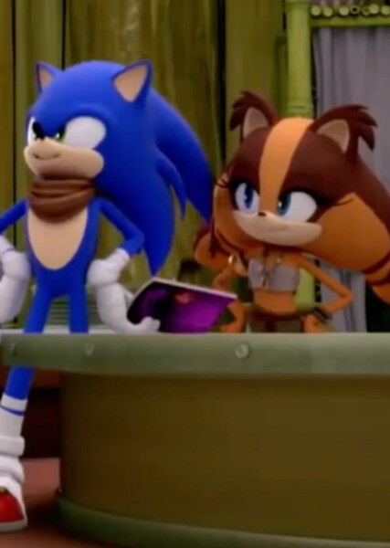 Sonic and Sticks photo
