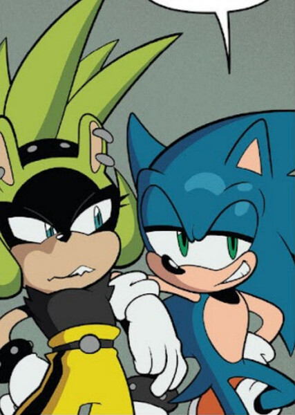 Sonic and Surge photo
