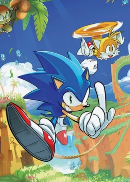 Sonic and Tails photo