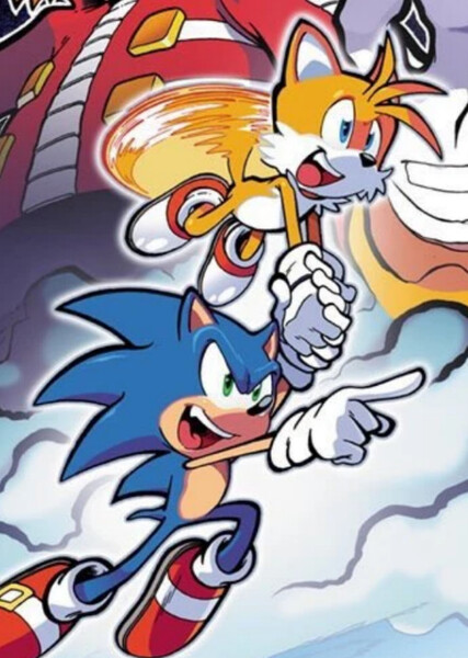 Sonic and Tails photo