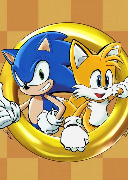 Sonic and Tails photo