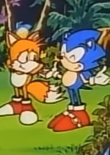 Sonic and Tails photo