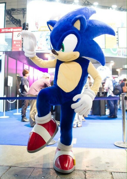 Sonic the Hedgehog
