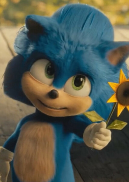 Sonic the Hedgehog photo