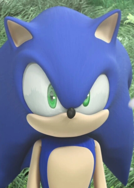 Sonic the Hedgehog photo