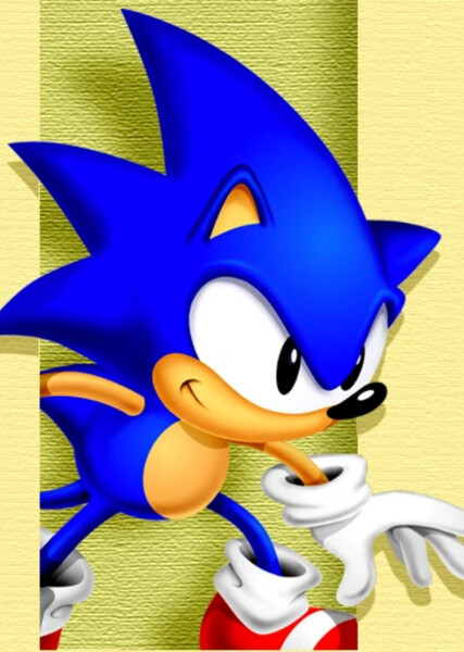Sonic the Hedgehog photo