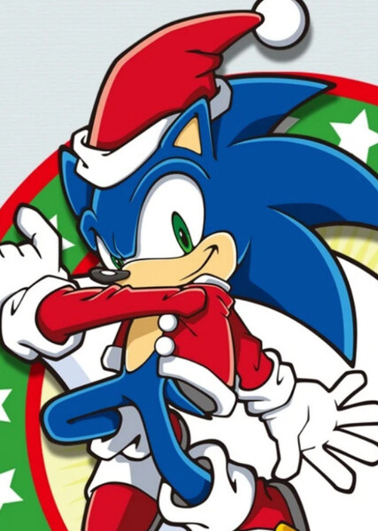 Sonic the Hedgehog photo