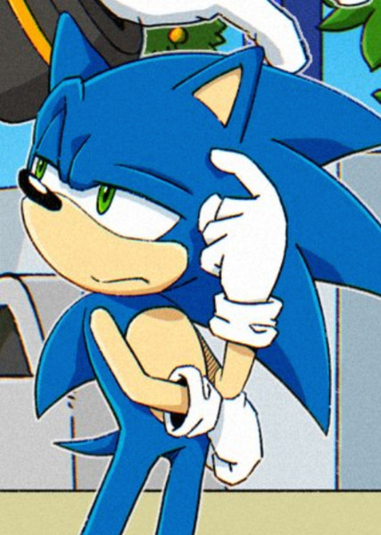 Sonic the Hedgehog photo