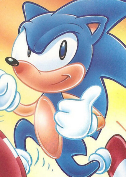 Sonic the Hedgehog (AoSTH) photo