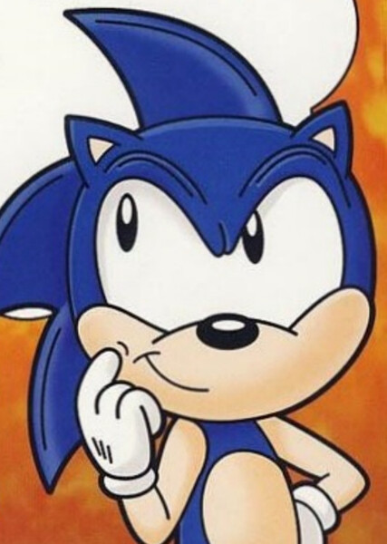 Sonic the Hedgehog (AoSTH) photo