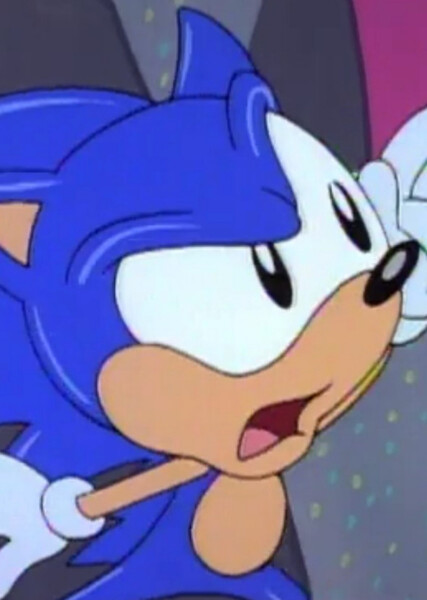 Sonic the Hedgehog (AoSTH) photo