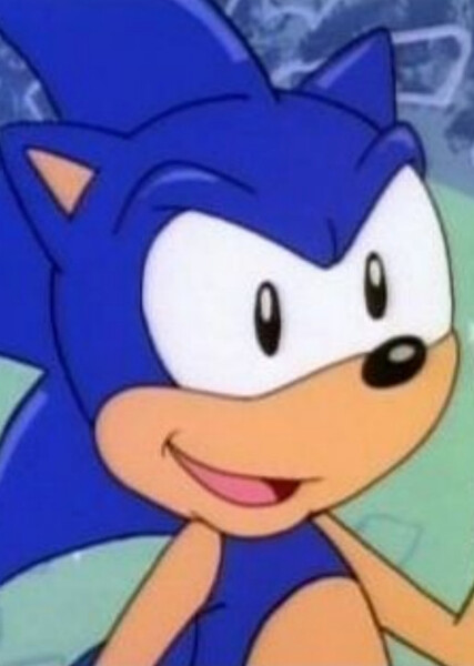 Sonic the Hedgehog (AoSTH) photo