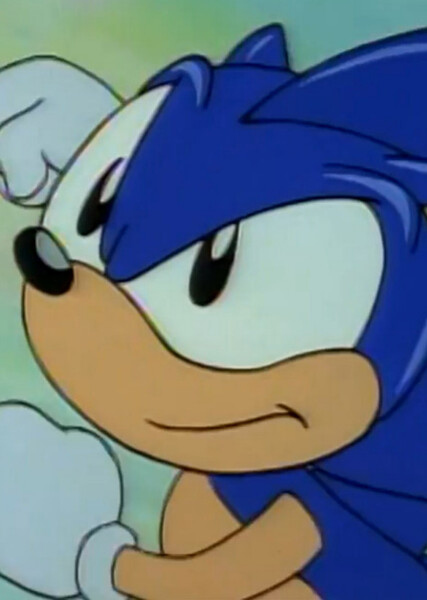 Sonic the Hedgehog (AoSTH) photo