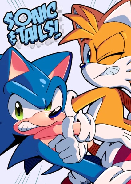 Sonic the Hedgehog (Franchise) photo
