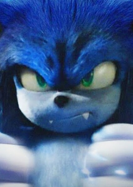 Sonic the Hedgehog (SCU) photo