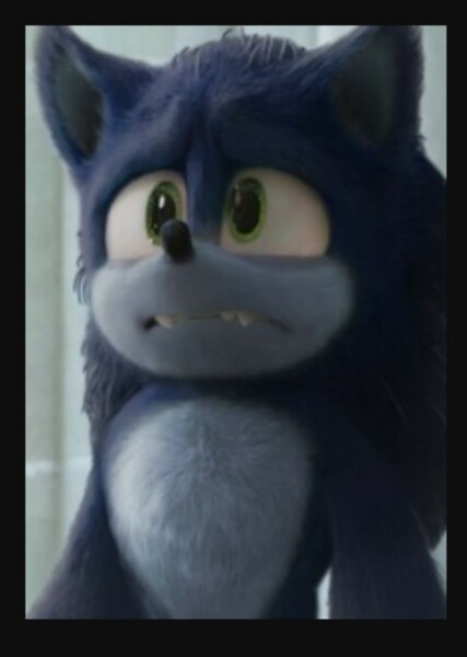 Sonic the Hedgehog (SCU) photo