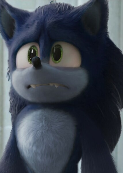 Sonic the Hedgehog (SCU) photo