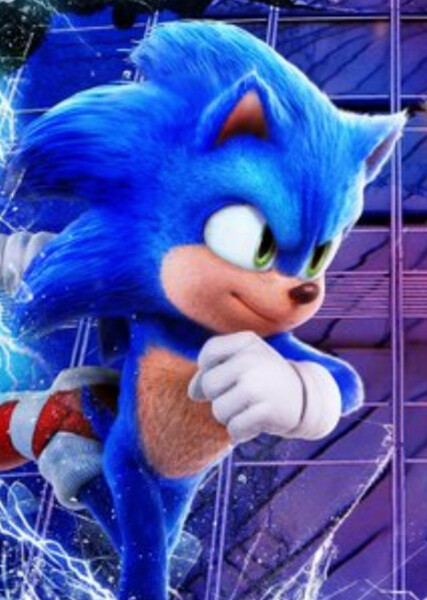 Sonic the Hedgehog (SCU) photo