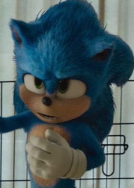 Sonic the Hedgehog (SCU) photo
