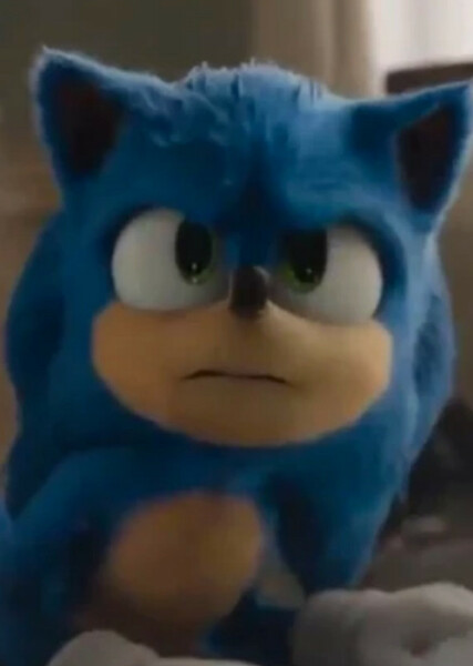 Sonic the Hedgehog (SCU) photo