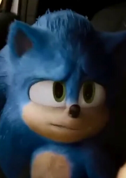 Sonic the Hedgehog (SCU) photo